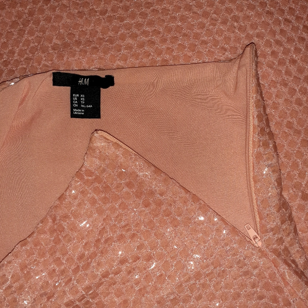 XS H&M Shimmery Skirt - Picture 3 of 5